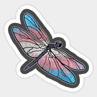 Transgender Dragonfly Sticker